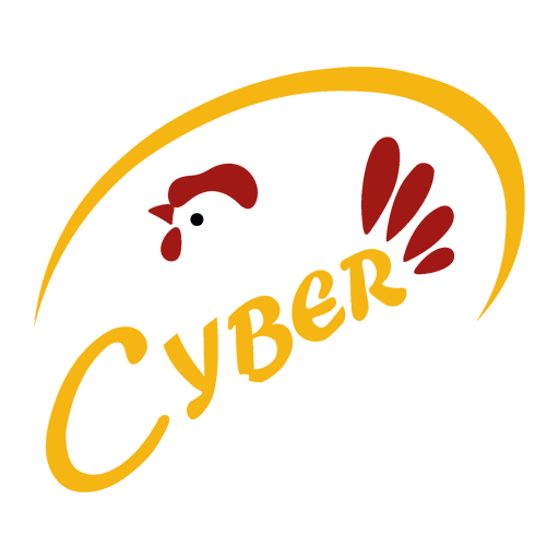 cyberotomasyon.com